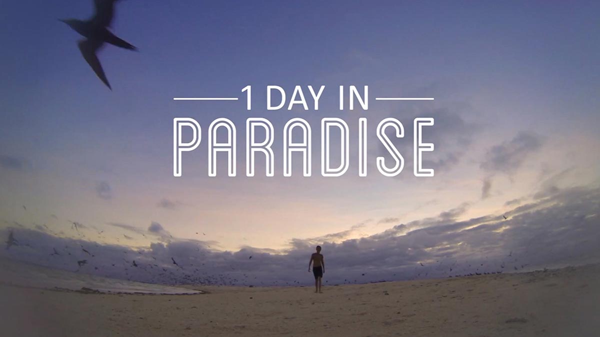 ‘1 Day in Paradise’ BADC